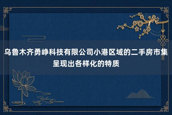 乌鲁木齐勇峥科技有限公司小港区域的二手房市集呈现出各样化的特质
