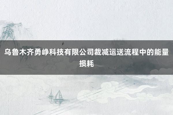 乌鲁木齐勇峥科技有限公司裁减运送流程中的能量损耗
