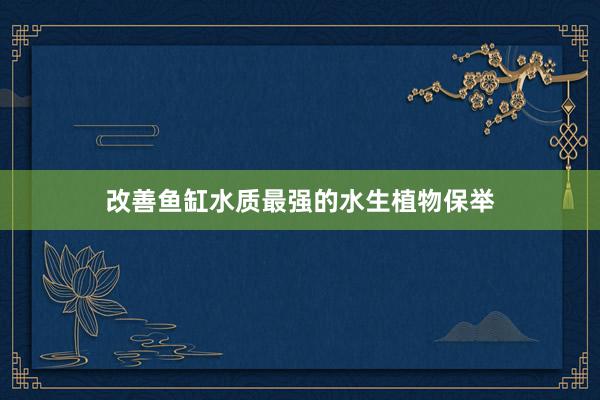 改善鱼缸水质最强的水生植物保举